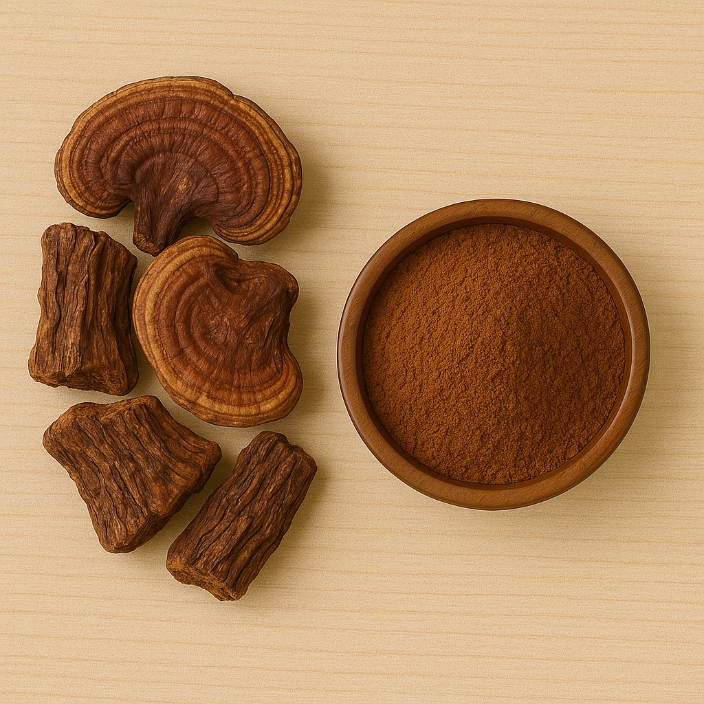 Reishi Mushroom Extract