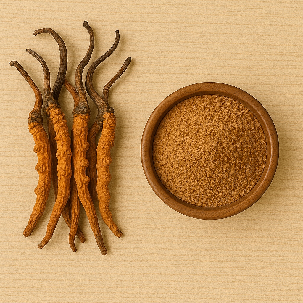 Cordyceps Extract