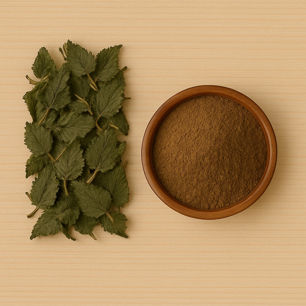 Nettle Extract