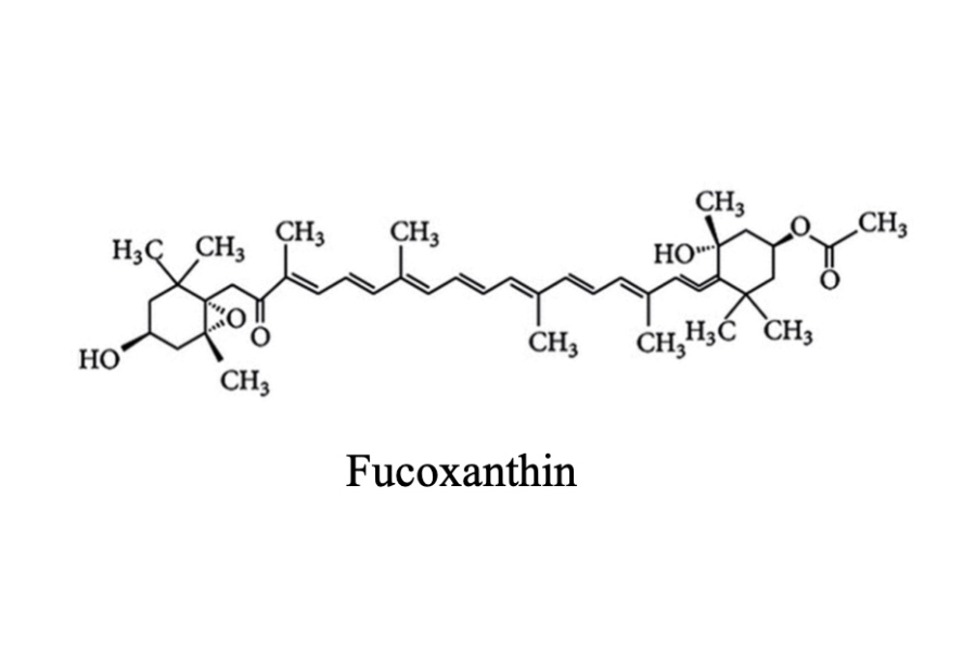Fucoxanthin Structure